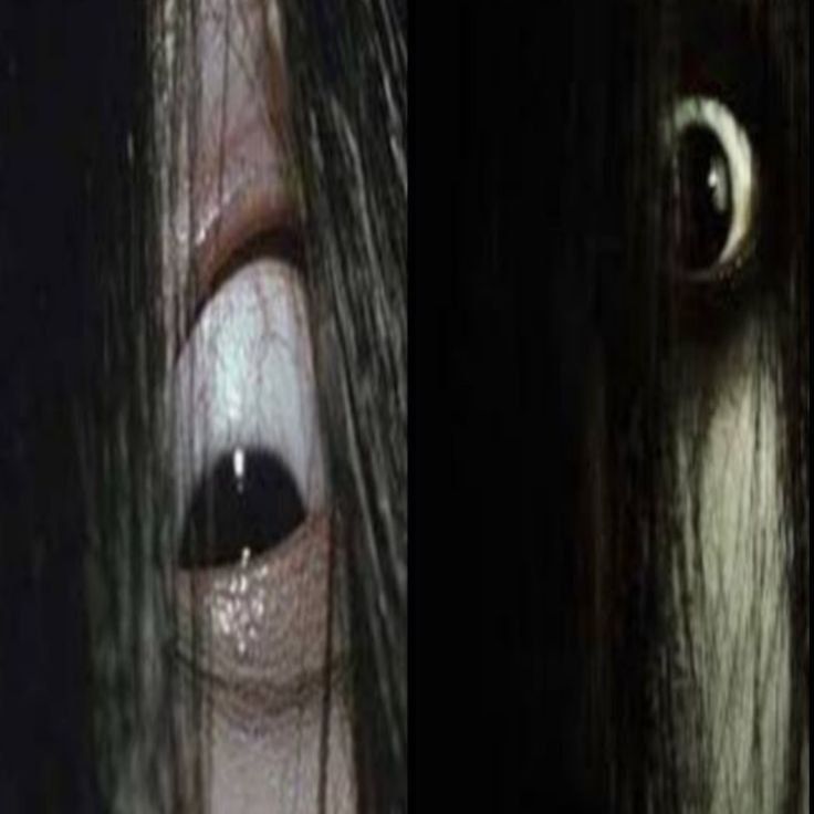 sadako